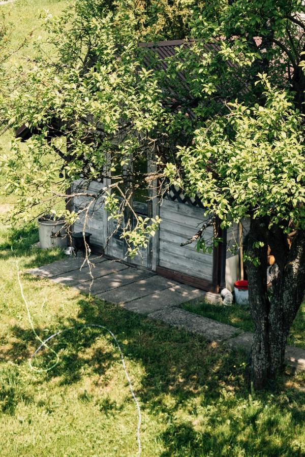 Apartamenty Madzia Weichsel Exterior foto